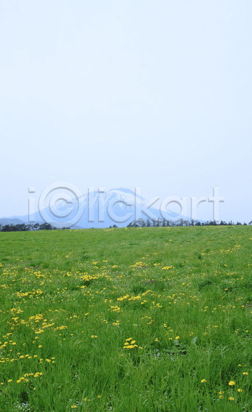 신선 사람없음 JPG 포토 해외이미지 계절 구름(자연) 밭 산 야외 우주 자연 초록색 컬러풀 태양 파란색 하늘 해외202004 햇빛