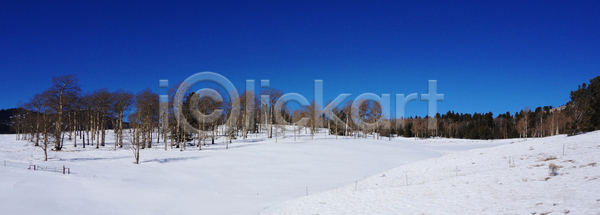 추위 사람없음 JPG 포토 해외이미지 겨울 계절 공원 나무 나뭇가지 날씨 내추럴 냉동 눈내림 목재 백그라운드 서리 소나무 숲 안개 야외 얼음 여행 자연 장면 전나무 컬러풀 태양 파란색 풍경 하늘 해외202004 해외포토 환경 흰색
