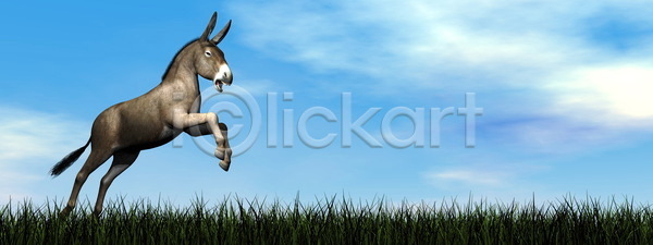행복 사람없음 3D JPG 일러스트 포토 해외이미지 구름 그래픽 꼬리 농경지 농장 당나귀 동물 디지털 만들기 머리 자연 점프 초록색 파란색 포유류 하늘 해외202004 해외일러스트 회색