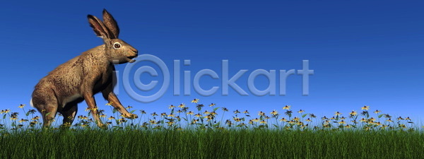 사람없음 3D JPG 일러스트 포토 해외이미지 그래픽 꽃 달리기 동물 동물상 디지털 만들기 설치류 야생동물 자연 초록색 털 토끼 파란색 포유류 해외202004 해외일러스트