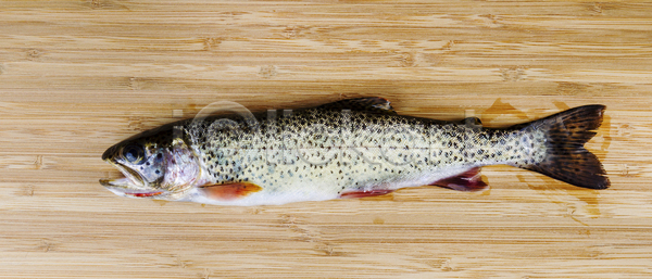 신선 사람없음 JPG 포토 해외이미지 가로 건강 낚시 날것 다이어트 대나무 동물 목재 민물 백그라운드 송어 스포츠 싱글 야생동물 어류 얼룩 오메가 음식 자연 잡기 저녁식사 해외202004 해외포토