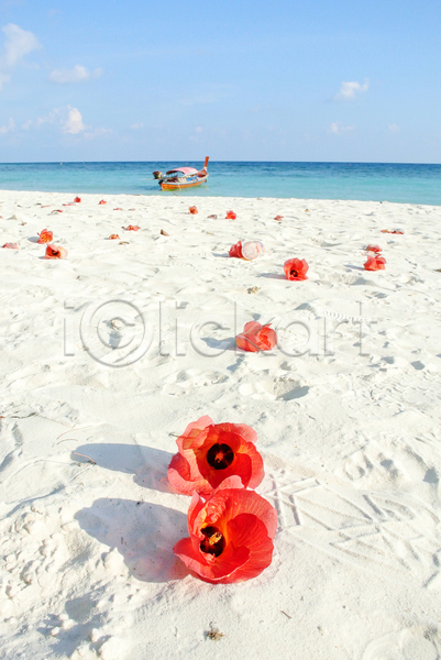 사람없음 JPG 포토 해외이미지 모래사장 빨간색 야외 여름(계절) 자연 주간 하늘 해외202004 히비스커스