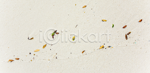 화목 사람없음 JPG 포토 해외이미지 공상 구성 내추럴 미술 백그라운드 빛 서식 식물 아시아 야외 잎 정물화 질감 추상 태양 패턴 해외202004 해외포토