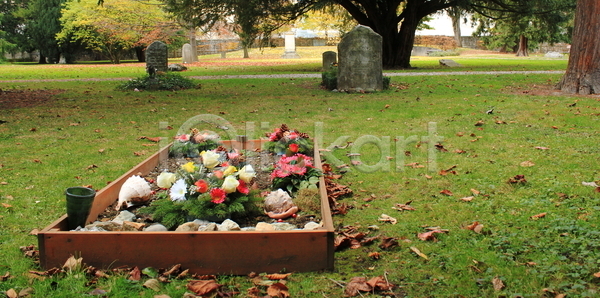 평화 희망 사람없음 JPG 포토 해외이미지 가을 기념물 기도 길 꽃 나무 낙엽 묘사 무덤 바위 빨간색 신앙심 애도 역사 옛날 잎 장례 적자 종교 죽음 추모 해외202004 해외포토