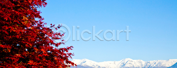 사람없음 JPG 포토 해외이미지 가로 겨울 계절 나무 내추럴 맑음 백그라운드 봄 빙하 빛 빨간색 산 생태학 숲 알프스 야외 언덕 얼음 여름 여행 우주 웅장함 자연 절정 초록색 태양 파노라마 파란색 풍경 하늘 해외202004 해외포토 햇빛 환경 휴가