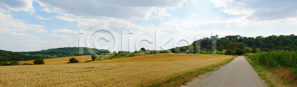 성장 신선 사람없음 JPG 포토 해외이미지 계곡 과일 나무 농경지 농업 농장 독일 땅 맑음 밭 밭일 백그라운드 수확 시골 식물 야외 양조장 언덕 여름 여행 와인 유럽 이탈리아 자연 줄서기 초록색 포도 포도나무 포도밭 풍경 프랑스 하늘 해외202004 해외포토