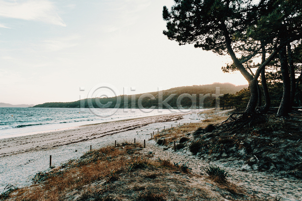 평화 휴식 사람없음 JPG 포토 해외이미지 경관 나무 야외 자연 잔디 주간 파도 풍경(경치) 해변