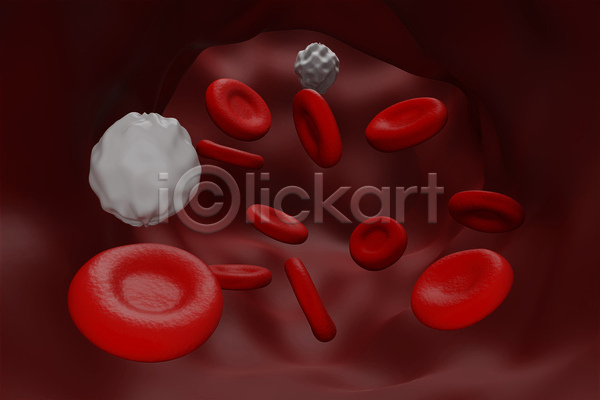 사람없음 3D JPG 포토 해외이미지 백혈구 세포 적혈구 혈구