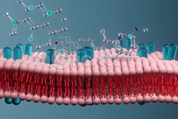 사람없음 3D JPG 해외이미지 분자구조모형 세포 세포막 의학 파란색
