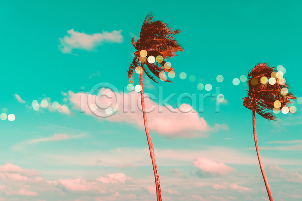 사람없음 JPG 포토 해외이미지 구름(자연) 빛망울 야외 야자수 여름(계절) 여름풍경 주간 하늘