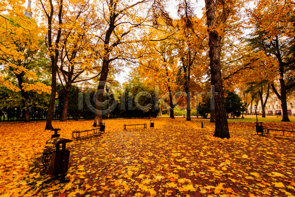 사람없음 JPG 포토 해외이미지 가을(계절) 공원 낙엽 단풍 단풍나무 벤치 야외 주간 풍경(경치)