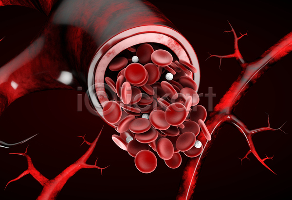 사람없음 3D JPG 포토 해외이미지 백혈구 세포 적혈구 혈관 혈구
