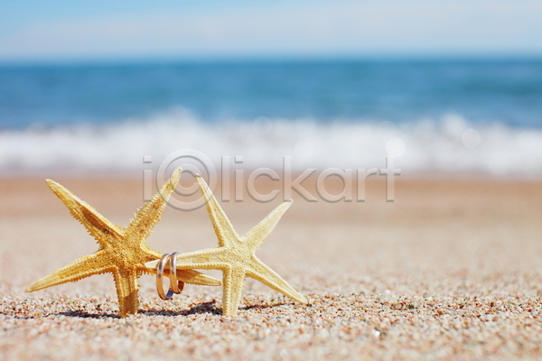 사람없음 JPG 아웃포커스 포토 해외이미지 결혼반지 모래 불가사리 야외 여름(계절) 주간 해변
