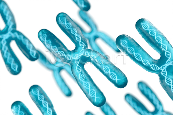 사람없음 3D JPG 해외이미지 DNA 염색체 염색체구조 유전자구조 파란색