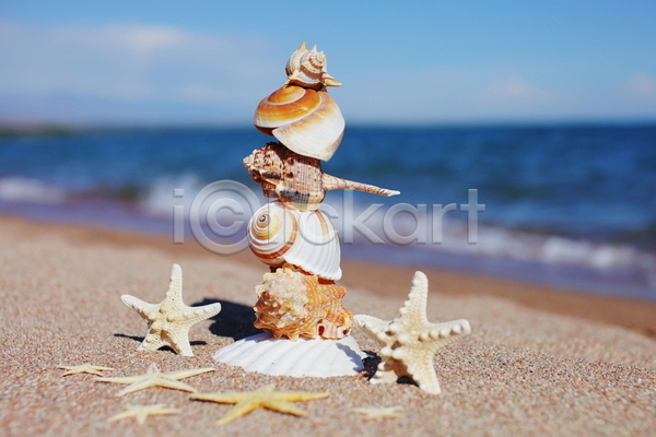 사람없음 JPG 포토 해외이미지 모래 불가사리 쌓기 야외 여름(계절) 조개껍데기 주간 해변
