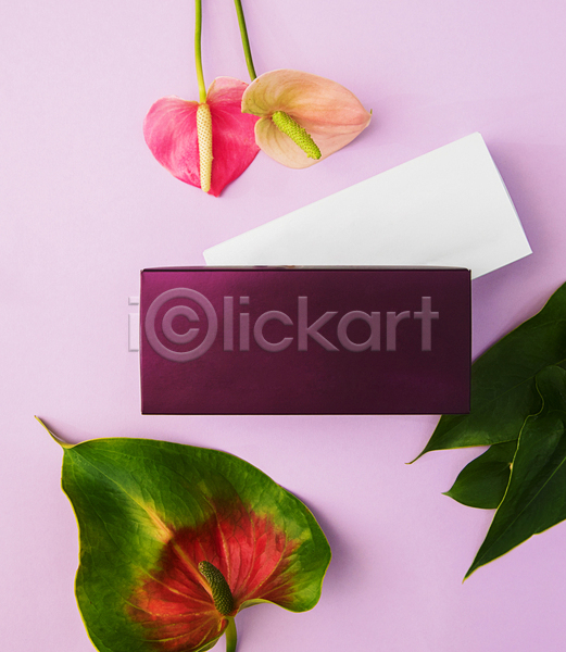 사람없음 JPG 포토 하이앵글 해외이미지 분홍색배경 뷰티 상자 안스리움 잎 화장품