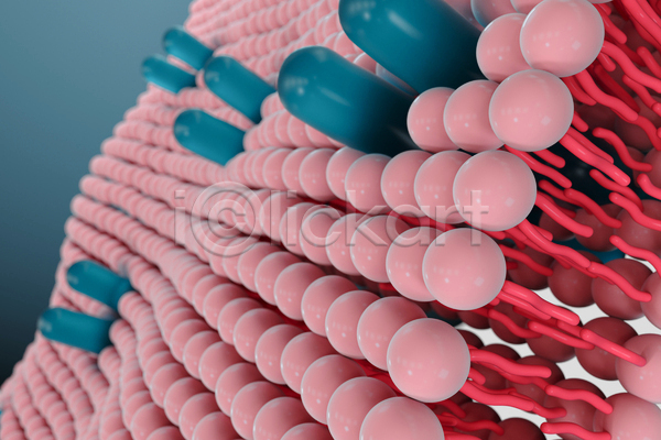 사람없음 3D JPG 해외이미지 분홍색 세포 세포막 의학