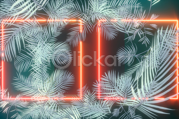 사람없음 3D JPG 일러스트 포토 해외이미지 그래픽 네온 백그라운드 사각프레임 열대잎 이국적 정사각형 추상
