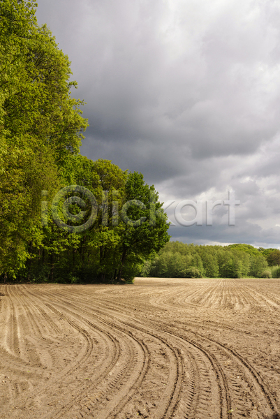 사람없음 JPG 포토 해외이미지 구름(자연) 나무 날씨 농업 땅바닥 밭 시골 어둠 자연 트랙 풍경(경치)