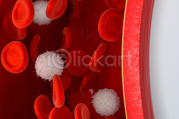 사람없음 3D JPG 해외이미지 백혈구 세포 의학 적혈구 혈관