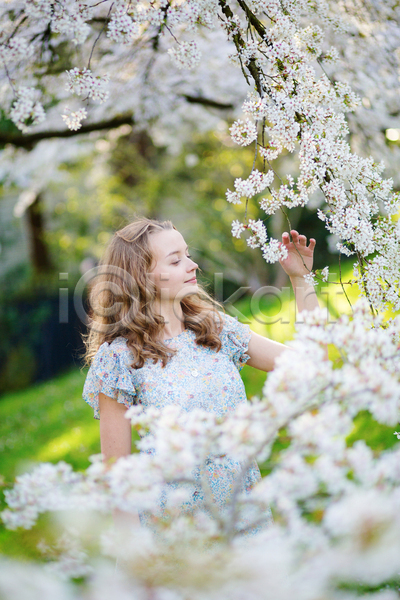 여유 사람 성인 한명 JPG 포토 해외이미지 4월 공원 금발 꽃 나무 내추럴 미소(표정) 벚꽃 봄 유럽 일본 자연 정원 체리 초록색 향 향기 흰색