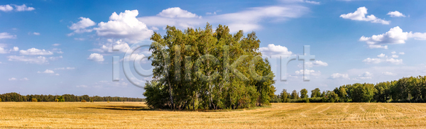 건조 성장 신선 사람없음 JPG 포토 해외이미지 건강 계곡 구름 나무 내추럴 놀람 농업 농장 러시아 밀 밭 수확 시골 시베리아 식물 야외 여름 여행 유럽 자연 전통 정원 지구 초록색 태양 파노라마 파란색 풍경 하늘 해외포토