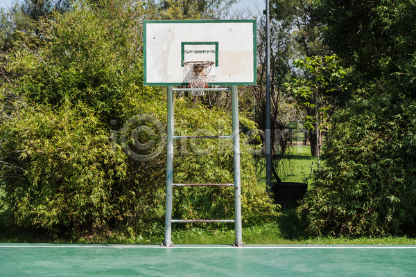 청춘(젊음) 사람없음 JPG 포토 해외이미지 나무 농구 농구대 농구장 야외 자연 주간