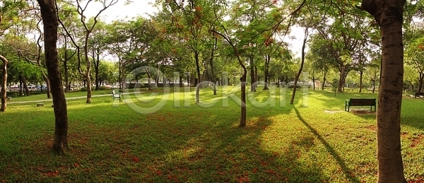 침묵 평화 사람없음 JPG 포토 해외이미지 공원 그림자 길 나무 벚꽃 벤치 일반 잎 초록색 파노라마 해외포토 햇빛