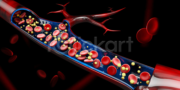 사람없음 3D JPG 포토 해외이미지 세포 적혈구 칼슘 혈관 혈구
