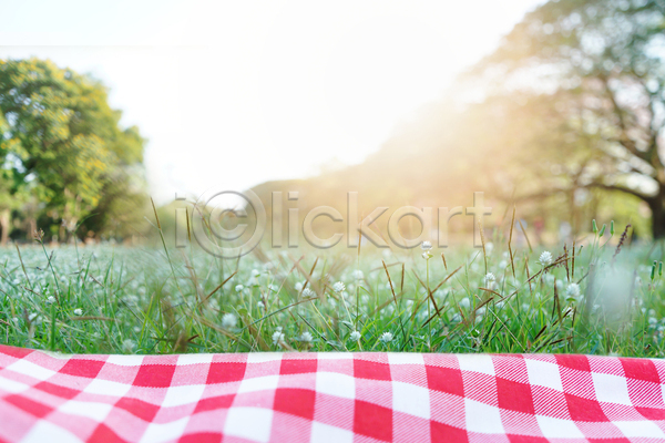 휴식 사람없음 JPG 템플릿 포토 해외이미지 공백 공원 구식 냅킨 담요 덮개 디자인 라이프스타일 레이아웃 맑음 면 백그라운드 복고 봄 빨간색 상품 소풍 식탁보 야외 여름(계절) 오브젝트 우주 자연 잔디 장식 전통 정원 직물 질감 체크무늬 초록색 추상 탁자 휴가 흰색