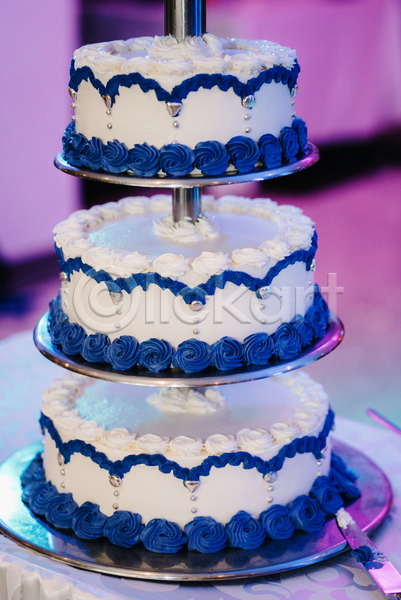 사람없음 JPG 포토 해외이미지 결혼 꽃 빵칼 웨딩케이크 장식 케이크 파란색