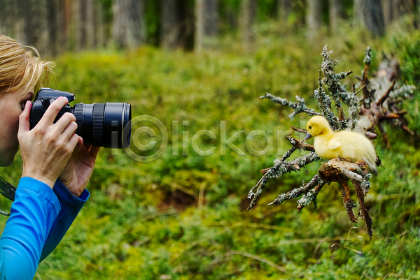 백인 사람없음 성인 여자 JPG 포토 해외이미지 1 가을(계절) 공원 그림 라이프스타일 배낭 사진사 사진촬영 숲 야외 여름(계절) 여행 자연 직업 초록색 취미 카메라 트래킹 풍경(경치) 하이킹