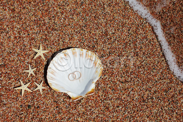 사람없음 JPG 포토 해외이미지 결혼반지 모래 불가사리 야외 여름(계절) 조개껍데기 주간 해변