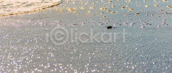 특별함 휴식 사람없음 JPG 포토 해외이미지 거품 껍질 내추럴 디자인 맑음 모래 물 바다 백그라운드 섬 소라 야외 여름 여행 이국적 조개 질감 카피스페이스 태양 파도 파라다이스 파란색 패턴 풍경 해변 해외포토 햇빛 황금 휴가 휴양지