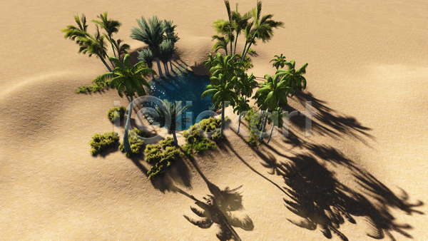 사람없음 3D JPG 포토 해외이미지 나무 모래 물 사막 아프리카 야자수 여행 열대기후 오아시스 자연 초록색 카피스페이스 컴퓨터그래픽 풍경(경치) 호수