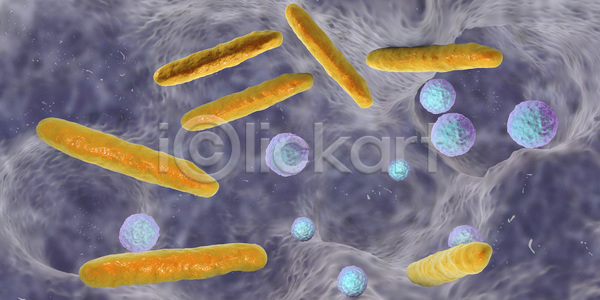 사람 사람없음 3D JPG 일러스트 포토 해외이미지 건강 구멍 돌봄 만들기 많음 미생물 박테리아 백그라운드 부식 뿌리 싱글 썩음 약 위생관리 입 질병 치과 치과의사 치아 치통 컨셉 컬러풀 해부 해외일러스트
