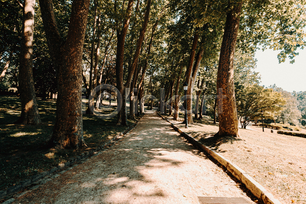 평화 휴식 사람없음 JPG 포토 해외이미지 경관 나무 산책로 야외 자연 주간 풍경(경치)