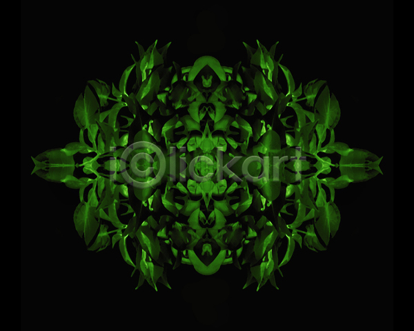 신비 특별함 화려 사람없음 JPG 포토 해외이미지 검은색 구성 내추럴 디지털 미술 부적 식물 오리지널 오브젝트 외계인 잎 자연 초록색