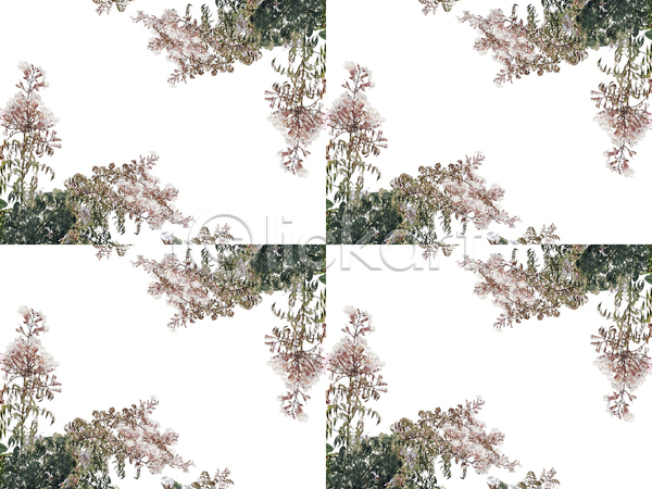 화려 사람없음 JPG 포토 해외이미지 거울 꽃 꽃무늬 꽃잎 디자인 디지털 모음 모자이크 미술 백그라운드 벚꽃 스타일 유행 인쇄 자연 장식 조작 직물 패턴 표면 흰배경