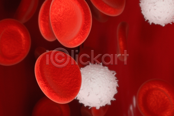 사람없음 3D JPG 해외이미지 백혈구 빨간색 세포 의학 적혈구