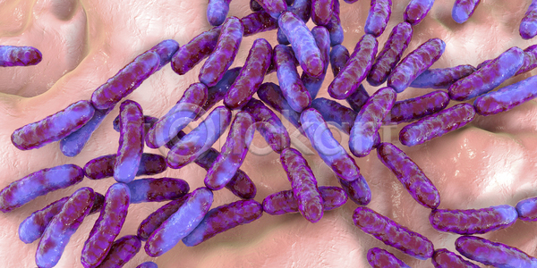 사람 사람없음 아기 3D JPG 일러스트 포토 해외이미지 건강 박테리아 보충 식물 식이요법 신체 약 염증 요거트 질병 해외일러스트