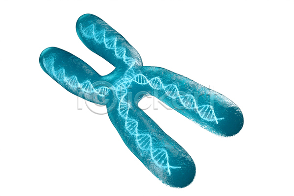 사람없음 3D JPG 해외이미지 DNA 염색체 염색체구조 유전자구조 흰색
