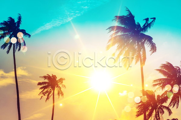 사람없음 JPG 포토 해외이미지 구름(자연) 빛망울 야외 야자수 여름(계절) 여름풍경 주간 태양 하늘 햇빛