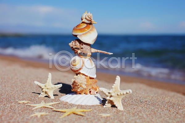 사람없음 JPG 포토 해외이미지 모래 불가사리 야외 여름(계절) 조개껍데기 주간 해변