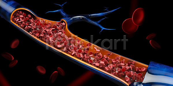 사람없음 3D JPG 포토 해외이미지 많음 세포 적혈구 정맥 혈관 혈구