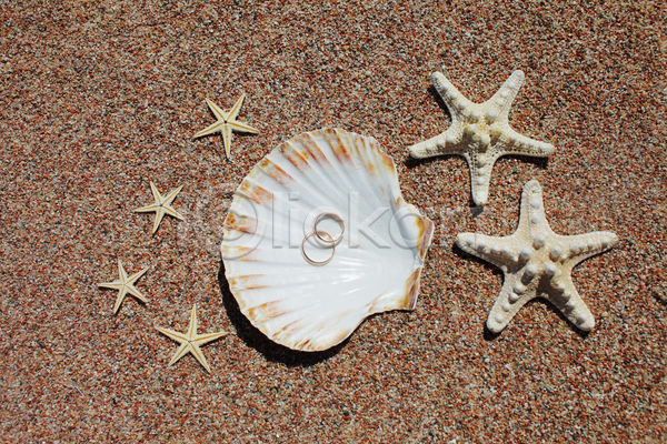 사람없음 JPG 포토 해외이미지 결혼반지 모래 불가사리 야외 여름(계절) 조개껍데기 주간