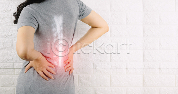 고통 성인 성인여자한명만 여자 한명 JPG 뒷모습 포토 해외이미지 상반신 실내 잡기 척추뼈 허리 허리통증 흰배경