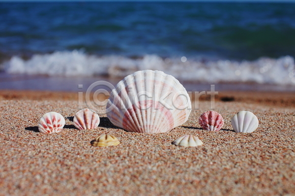 사람없음 JPG 포토 해외이미지 모래 야외 여름(계절) 조개껍데기 주간 파도 해변