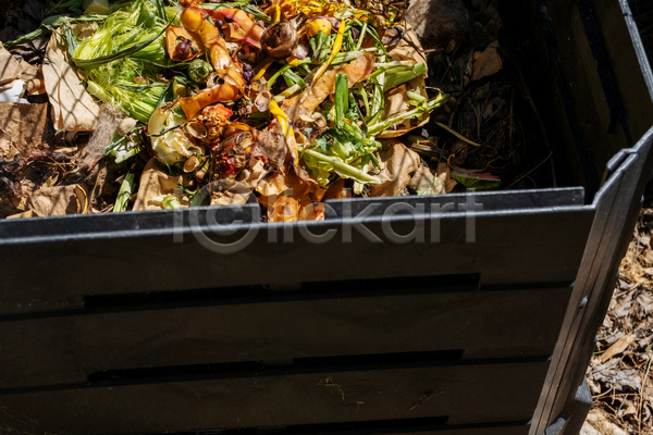 거절 낭비 사람없음 JPG 포토 해외이미지 검은색 과일 농업 버섯 쓰레기 쓰레기통 야외 양파 원예 유기농 유지 음식 잎 재활용 채소 초록색 컨테이너 플라스틱 환경