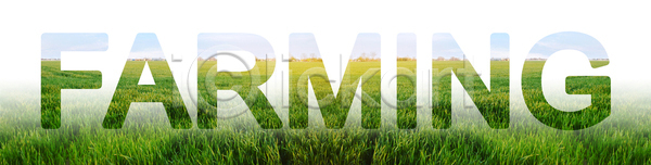 성장 사람없음 JPG 포토 해외이미지 개발 건강 기술 낟알 내추럴 농경지 농업 농작물 농장 단어 땅 밀 밭 밭일 백그라운드 비즈니스 산업 세련 세일 수확 시골 식물 유기농 자연 정부 지원 초록색 풍경 해외포토 환경 획기적